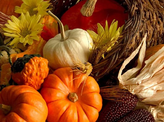 Thanksgiving – November 24, 2011