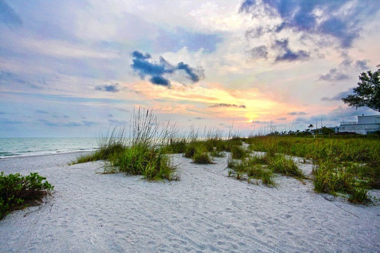 Friends of Sanibel Work to Protect Island’s Beaches