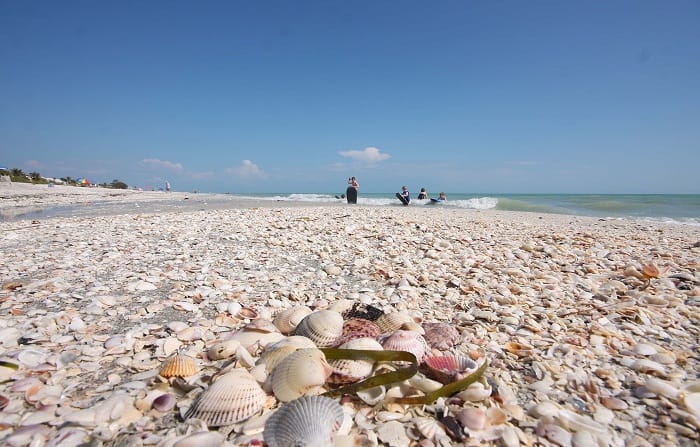 Sanibel Conservation Walking Tours