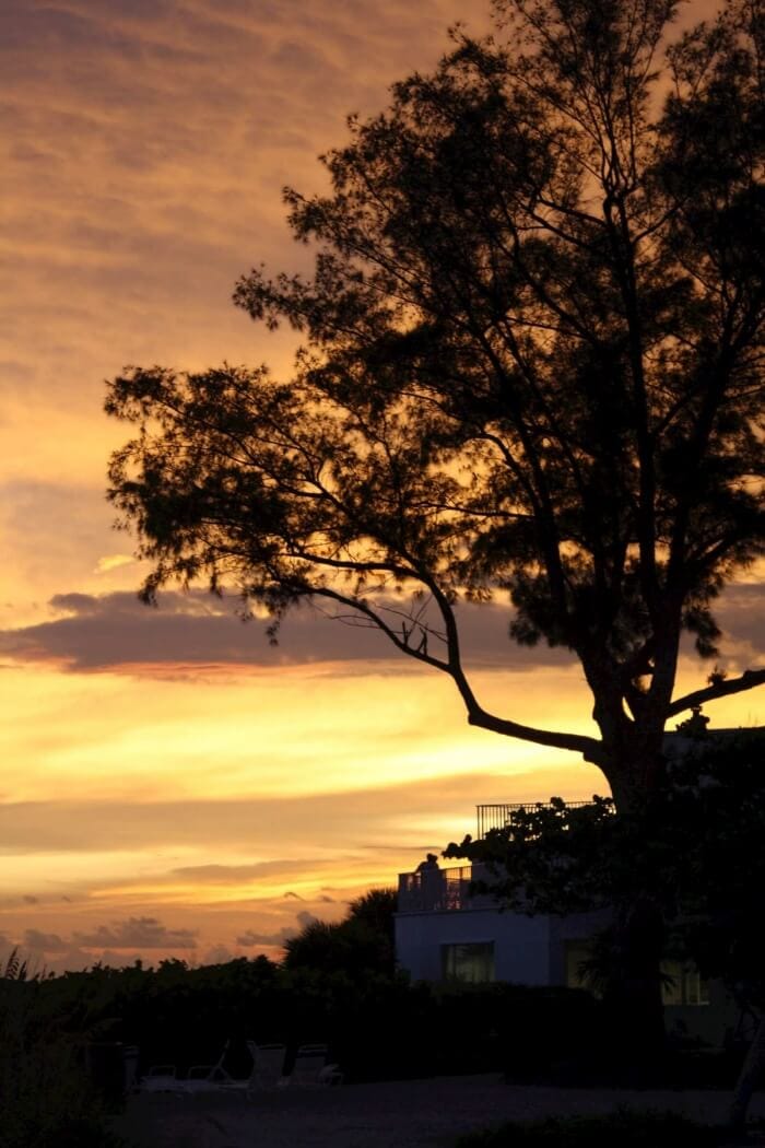 sanibel island hotels island inn sanibel beach and sunset