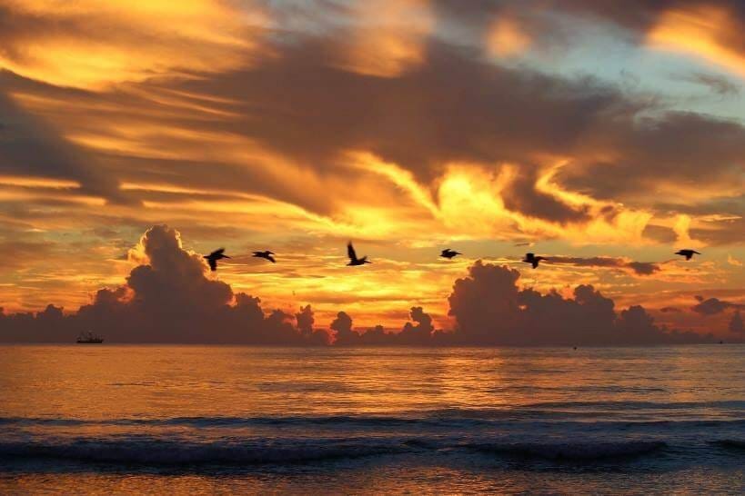 sanibel island sunset