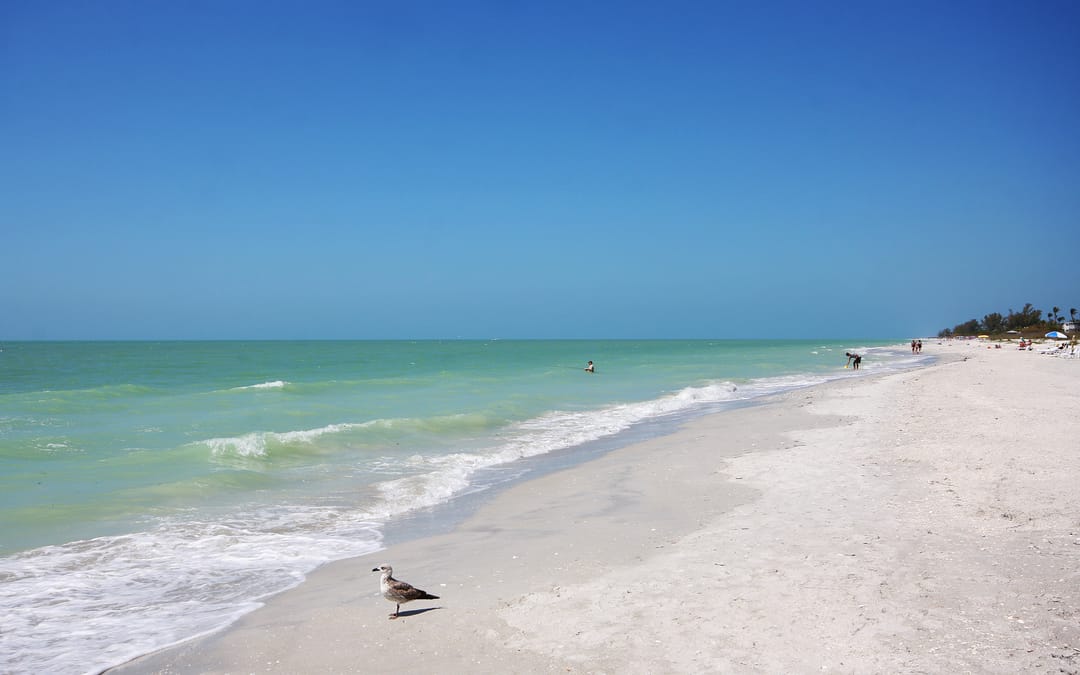 Island Inn: The Best Choice Among Sanibel Island Resorts