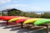 Island Inn’s 2012 Summer Newsletter