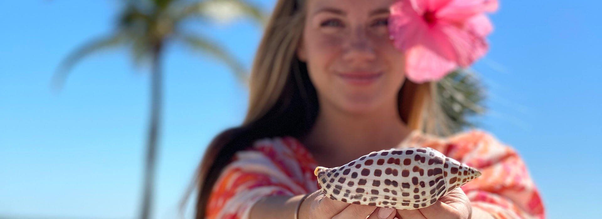 island inn best sanibel shelling hotel