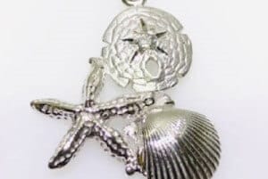 Support the Shell Museum for a chance to WIN GOLD from Congress Jewelers