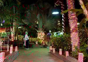 Luminary Festival