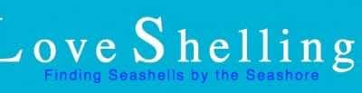 iloveshelling.com
