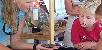 Tarpon Bay Explorers Touch Tanks