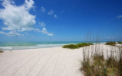 Sanibel Sea School