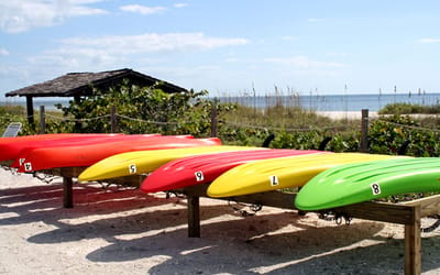 Kayaks and Paddleboards Now Available!