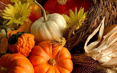 Thanksgiving – November 24, 2011