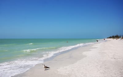 Island Inn: The Best Choice Among Sanibel Island Resorts