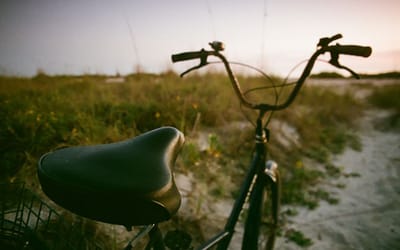 A Cyclist’s-Eye View of Sanibel Island
