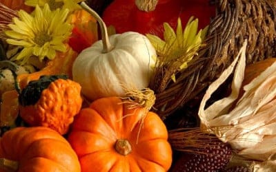 Thanksgiving – November 24, 2011