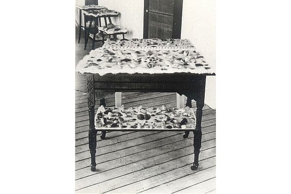 Island Inn Sanibel Shelling Collection