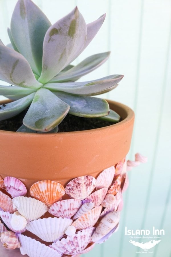 Sanibel Shell Planter Tutorial for National Craft Month