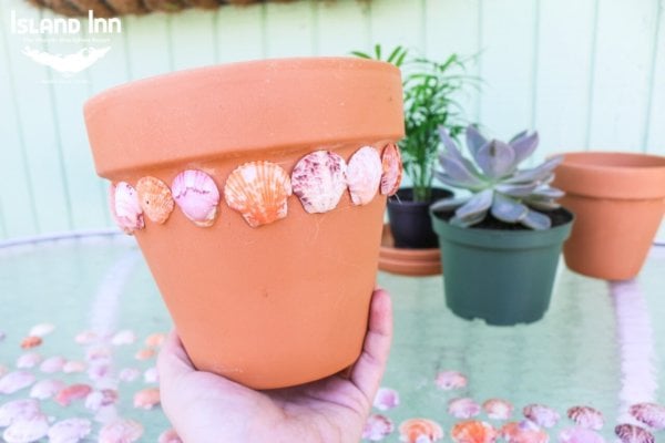 Scallop Sea Shell Terra Cotta Pots