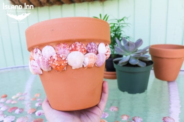 Sanibel Shell Planter Tutorial for National Craft Month