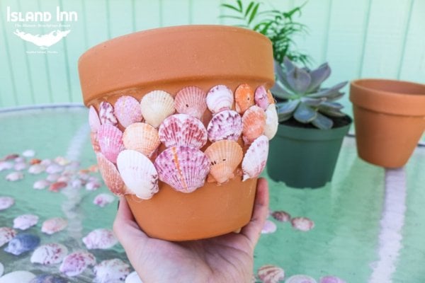 Sanibel Shell Planter Tutorial for National Craft Month