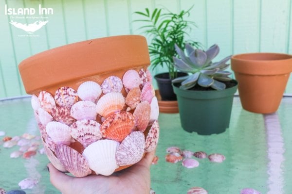 DIY Seashell terracotta pot - seashell planter with faux stone spray paint