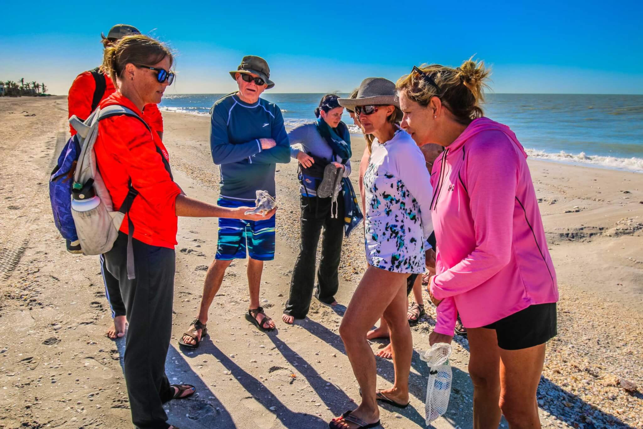 sanibel beach walks at the island inn