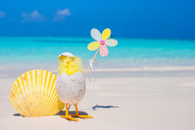 easter seashell beach